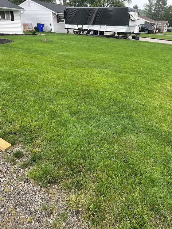 Full green lawn beside a gravel driveway