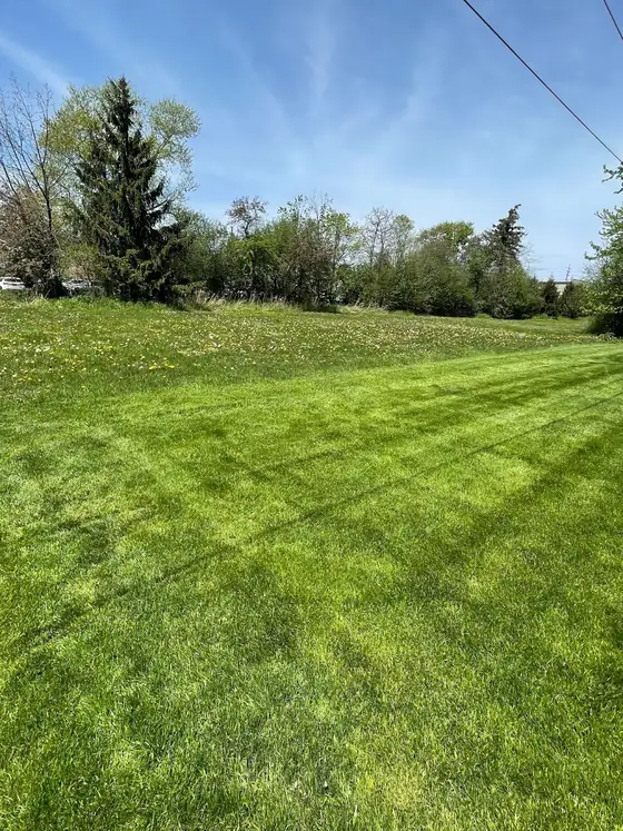 Diagonal mowing stripes across a green backyard under a blue sky