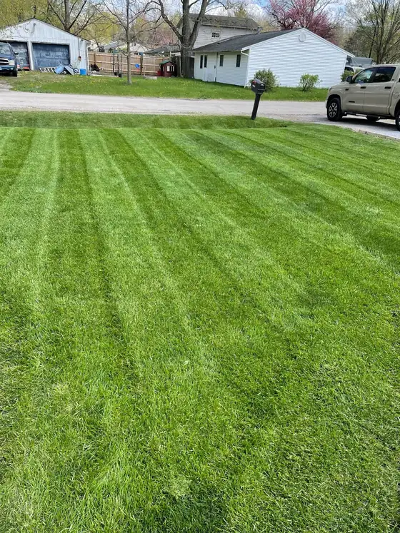 Thick, striped front lawn after treatment by Elora&rsquo;s Lawns