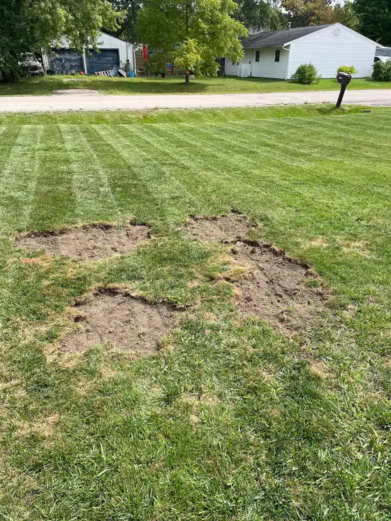 The same front lawn before treatment, with bare dirt patches